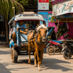 Traditional horse carriage or cidomo passing near a Gili Air hotel, showcasing local transport and tropical island atmosphere in Gili Air, Indonesia