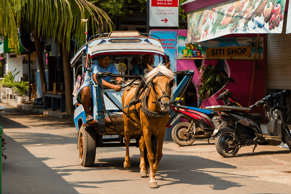 Traditional horse carriage or cidomo passing near a Gili Air hotel, showcasing local transport and tropical island atmosphere in Gili Air, Indonesia